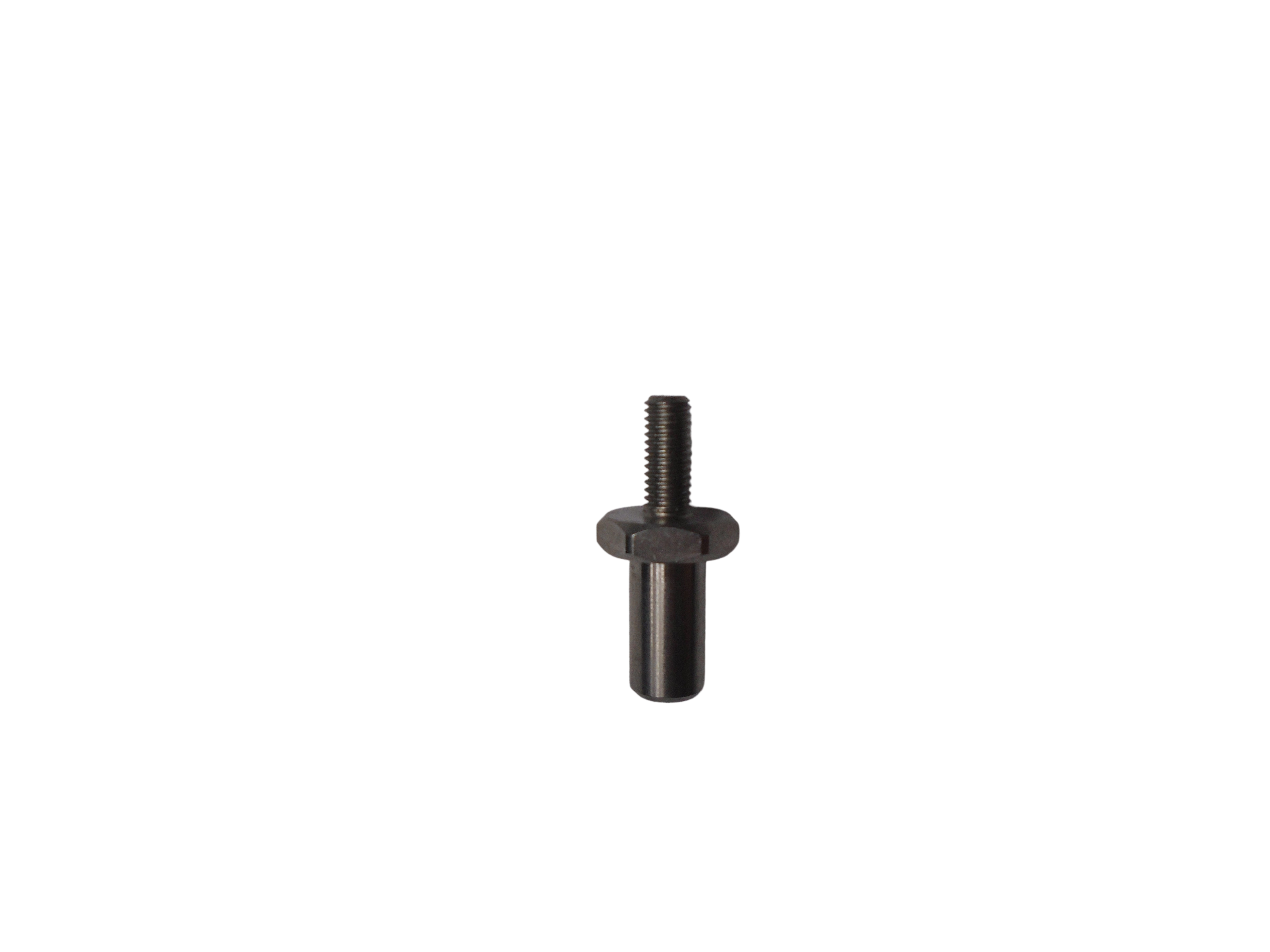 HEX HINGE PIN - TOP/BOTTOM - 2004 TO PRESENT (BBS 2011 TO PRESENT)